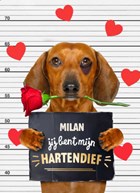 valentijn kaart hond jij bent mijn hartendief